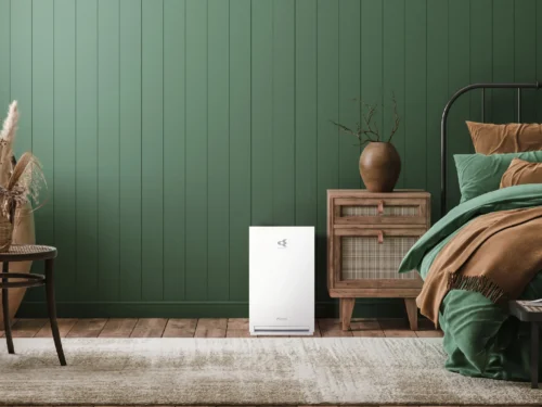 Superheat Electrical Hamilton Waikato - Heat Pump, air conditioning and ventilation Services -Daikin Air Purifier Lifestyle Image