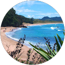 Dianne Carpenter profile picture